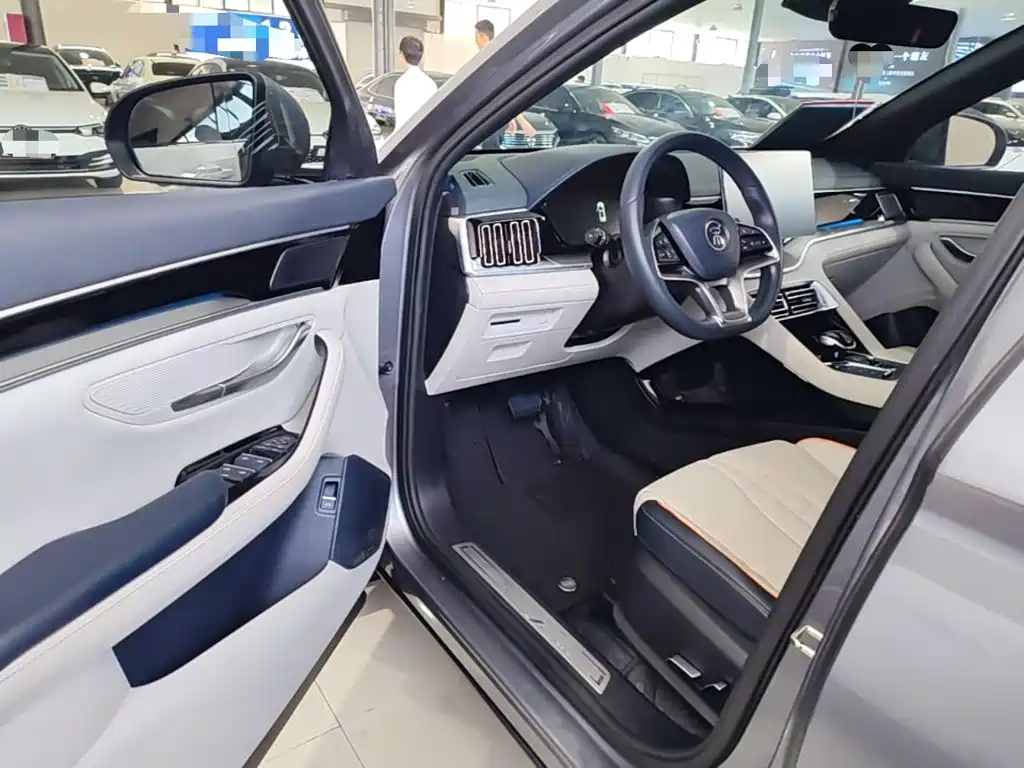 BYD PLUS New Energy — миниатюра 16