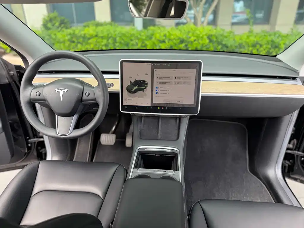 Tesla Model Y — миниатюра 5
