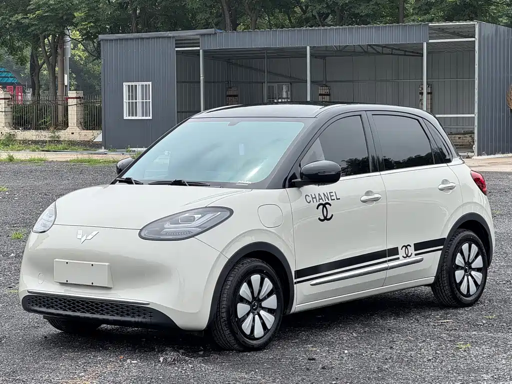 2025 Wuling Motors Binguo - zdjęcie 1 z 17