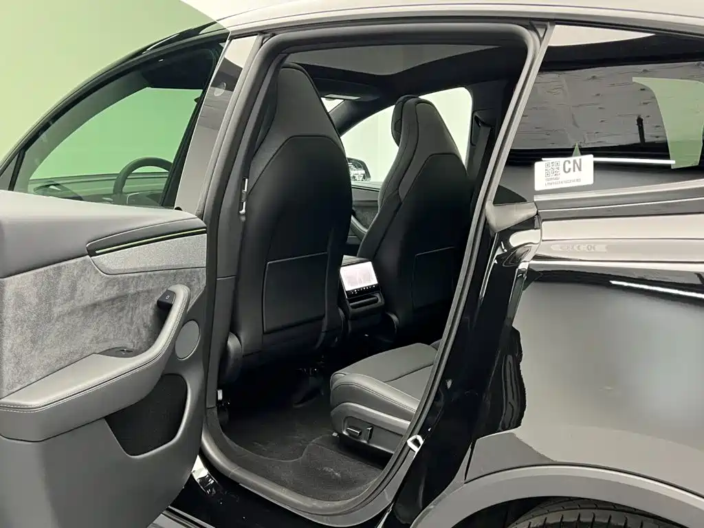 Tesla Model Y L — миниатюра 19