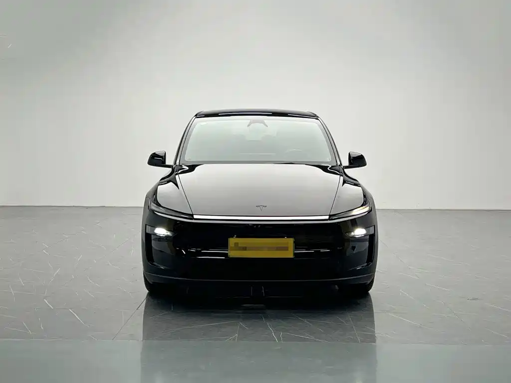 Tesla Model Y L — миниатюра 2