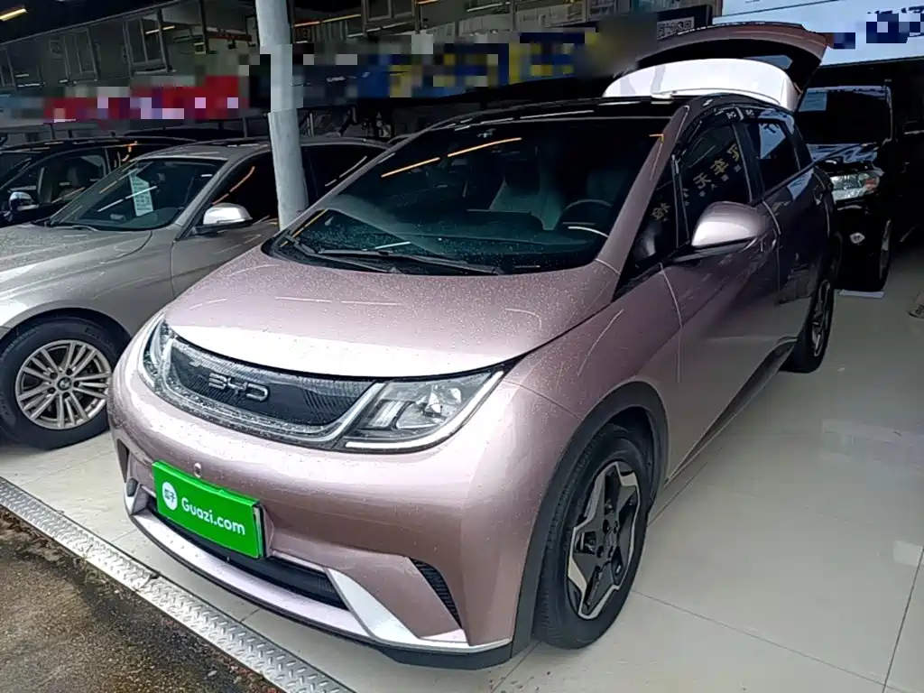BYD Dolphin — миниатюра 2