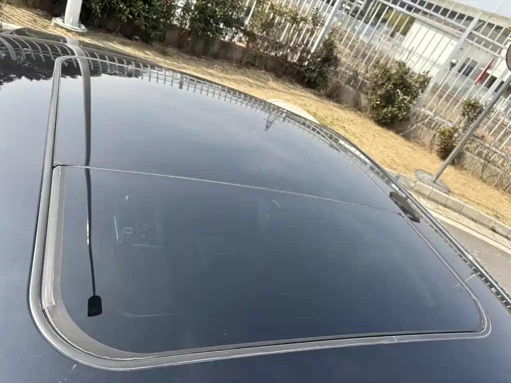 DONGFENG YI HYUN MAX