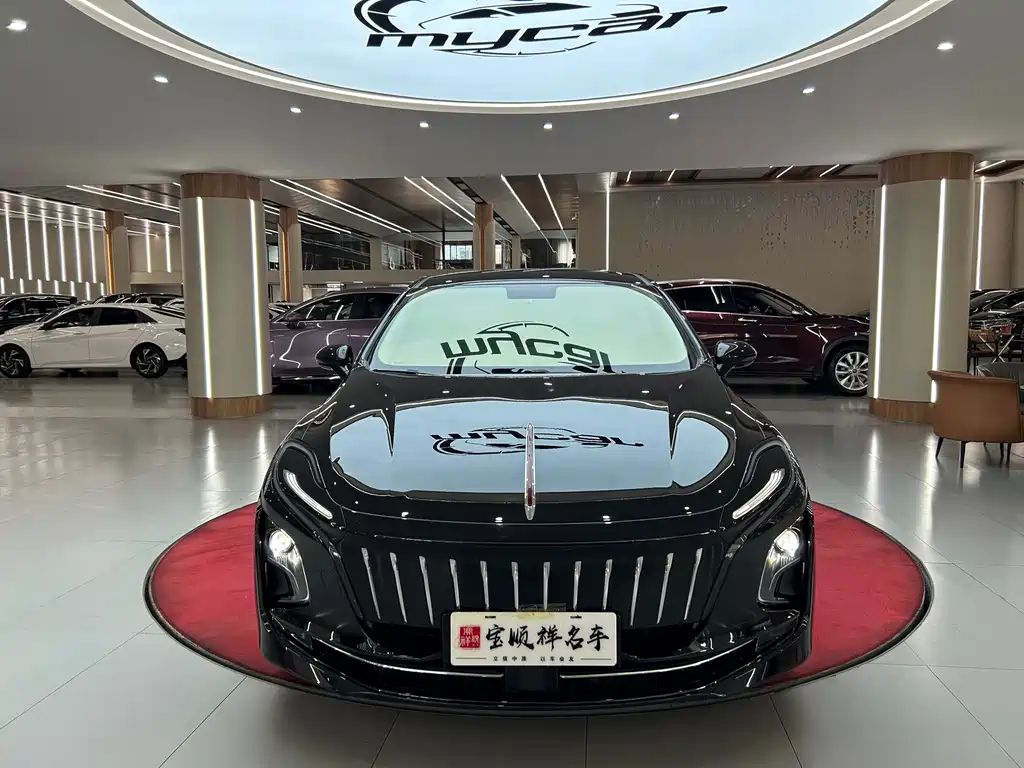 Hongqi Hongqi E-QM5 — миниатюра 2