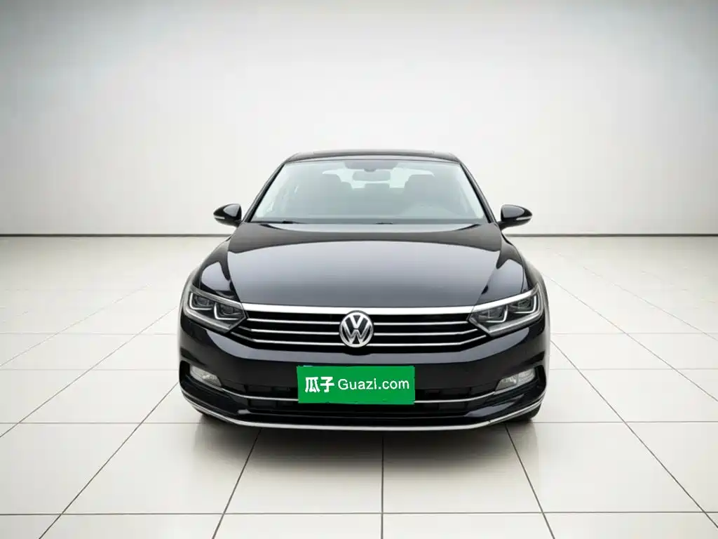 Volkswagen Magotan — миниатюра 2