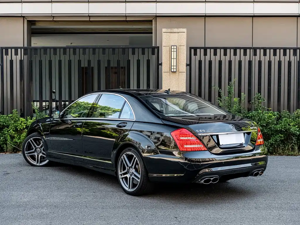 Mercedes-Benz S-Class A MG S AMG 2010 AMG S 65