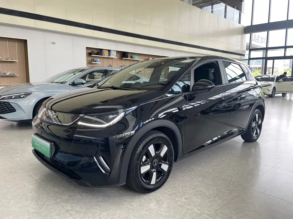 BYD Dolphin — миниатюра 2