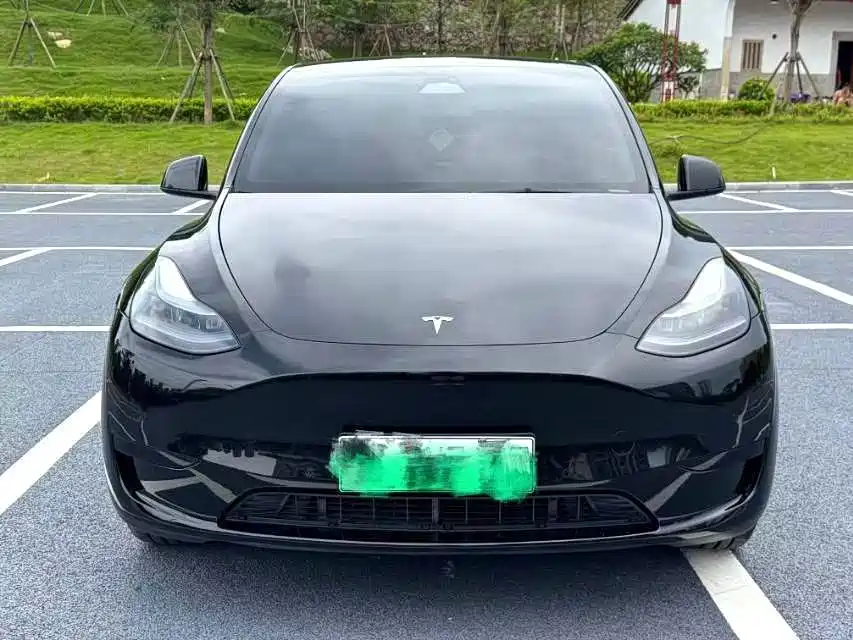 Tesla Model Y — миниатюра 2