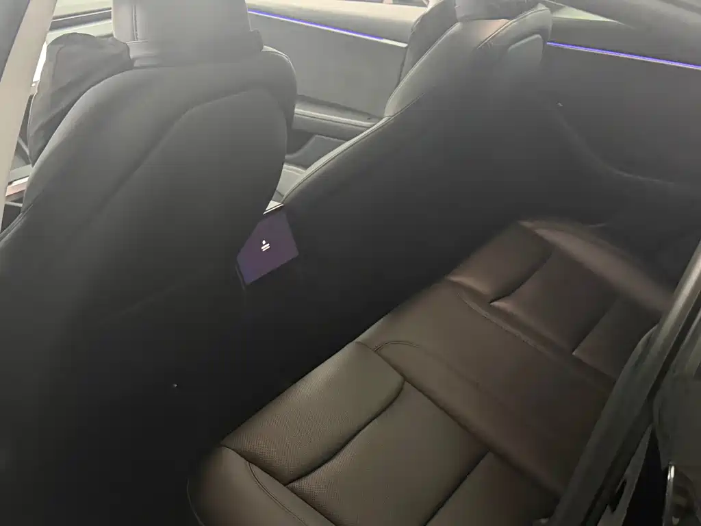 Tesla Model 3 — миниатюра 6
