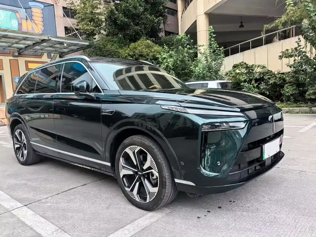 WEI PAI WEI BRAND BLUE MOUNTAIN