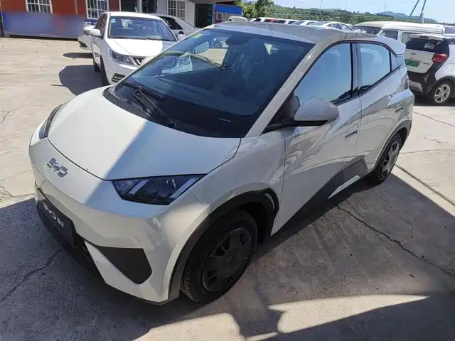 2026 BYD Seagull