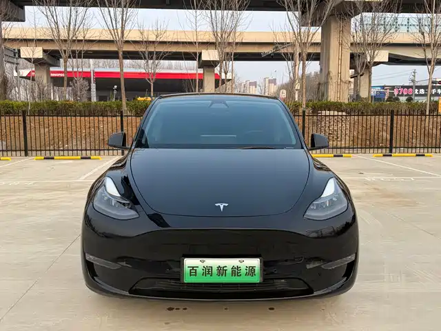 TESLA MODEL Y 2021
