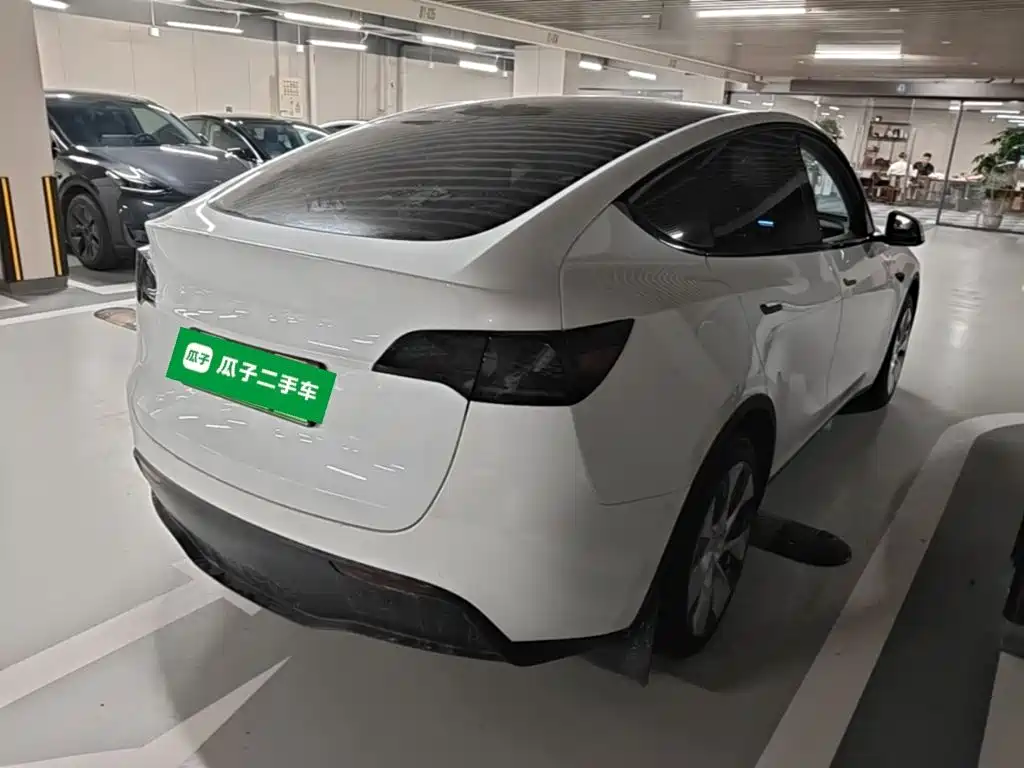 Tesla Model Y — миниатюра 7