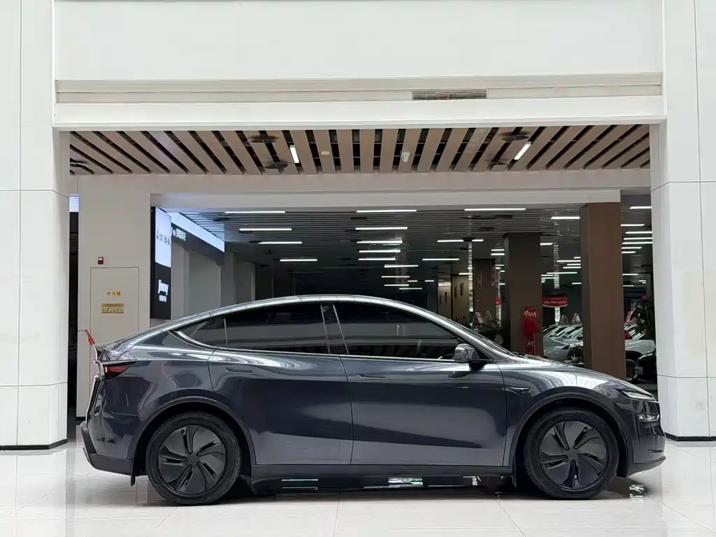 Tesla Model Y — миниатюра 4