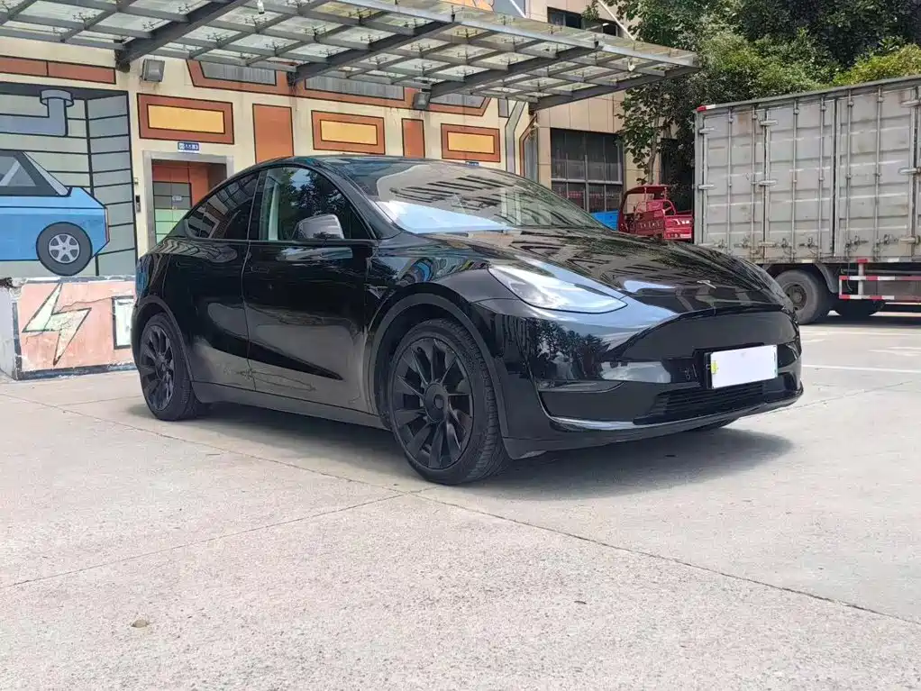 Tesla Model Y — миниатюра 3