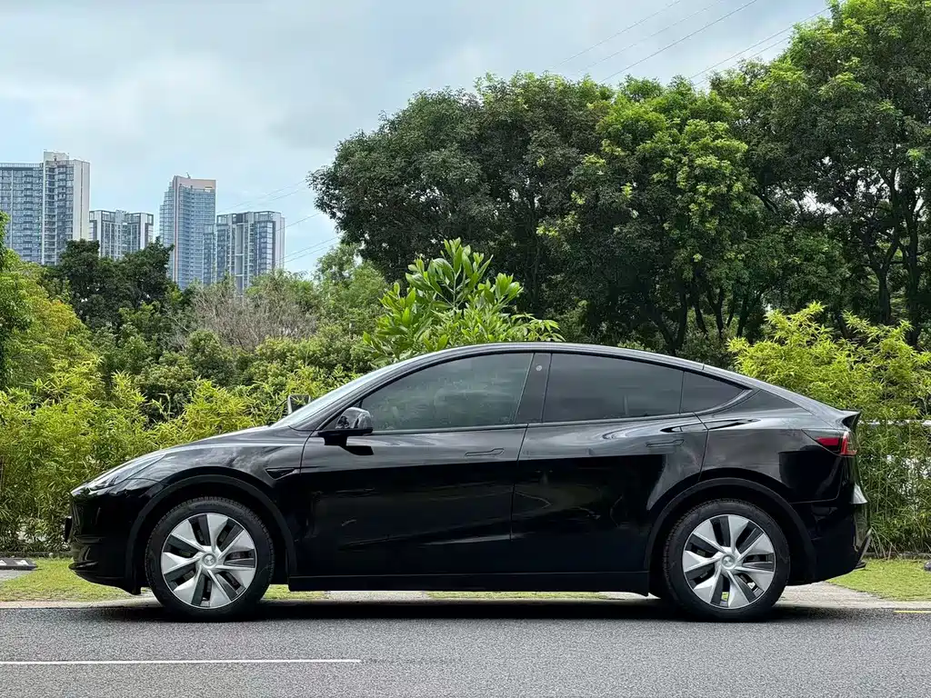Tesla Model Y — миниатюра 16