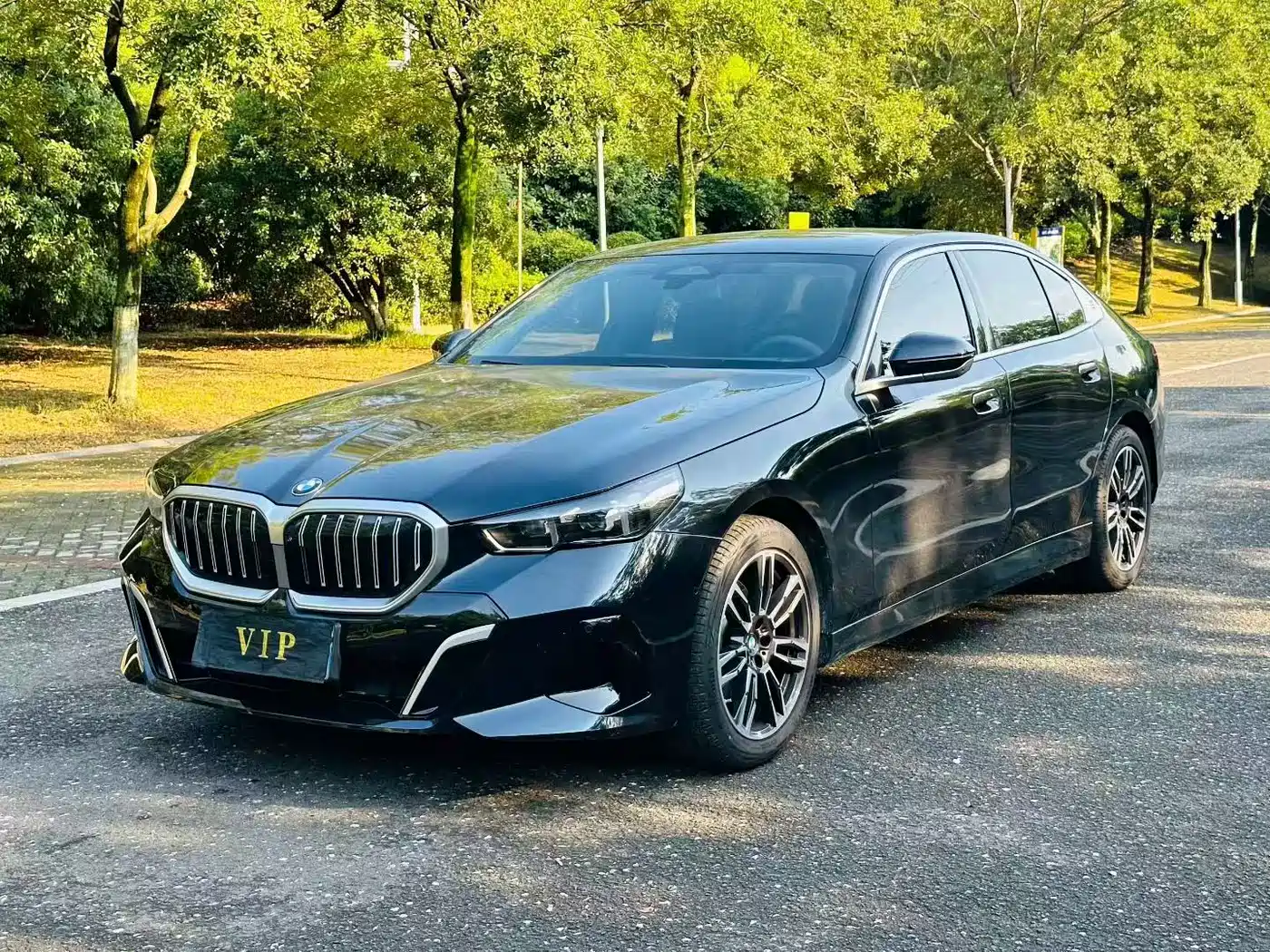 宝马5系 2025款 530Li 领先型 M运动套装 2025