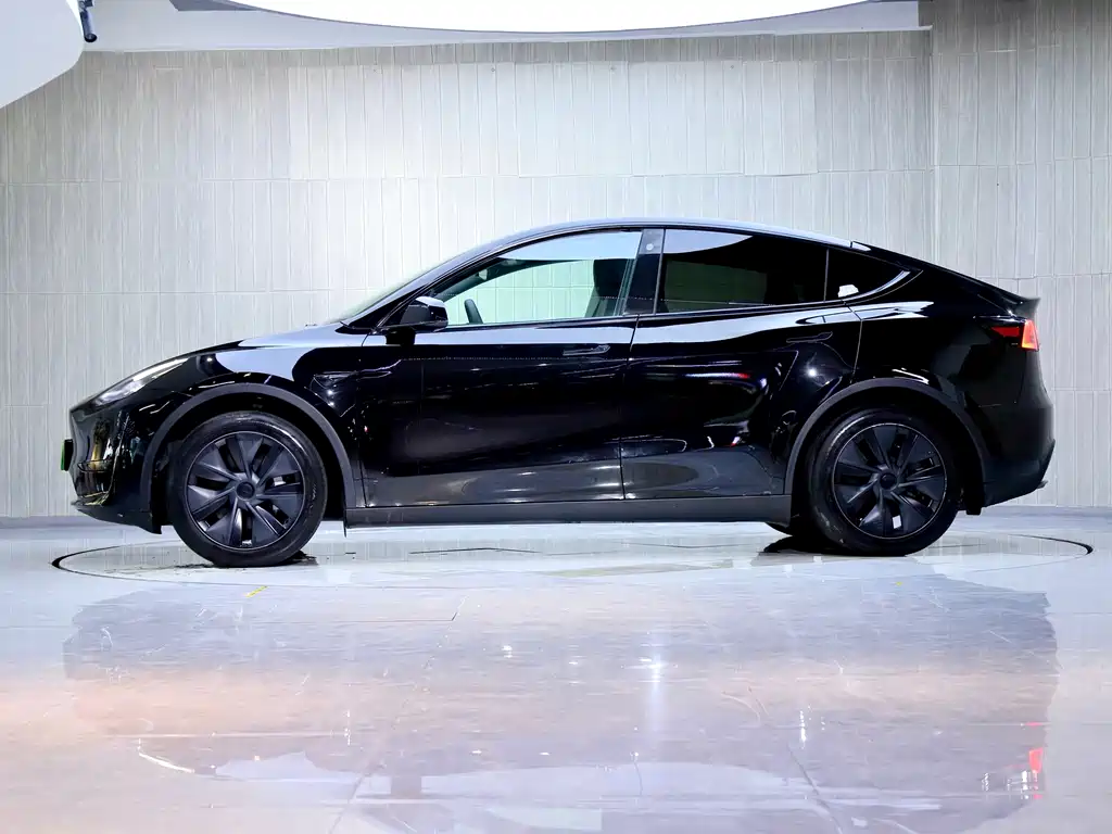 Tesla Model Y — миниатюра 4