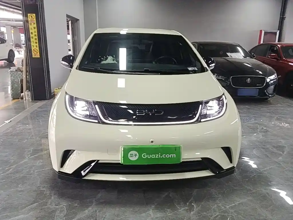 BYD Dolphin — миниатюра 3