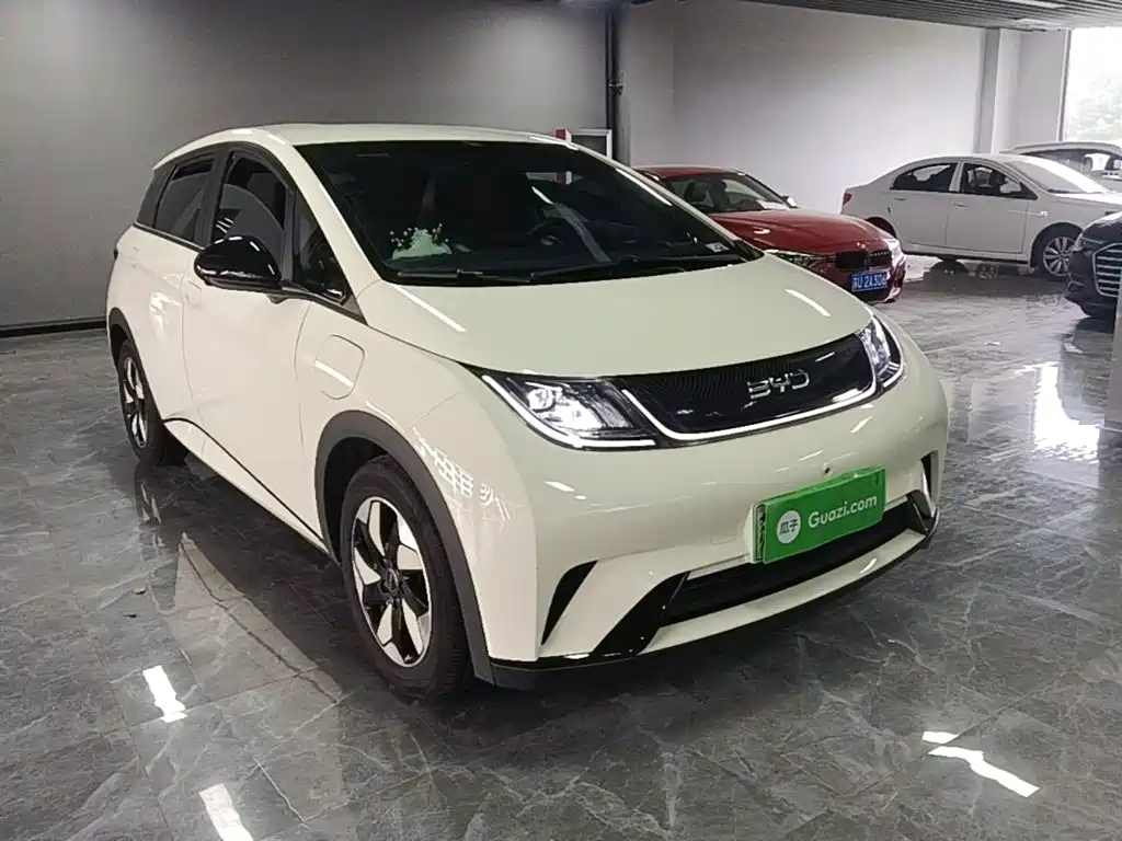 BYD Dolphin — миниатюра 4