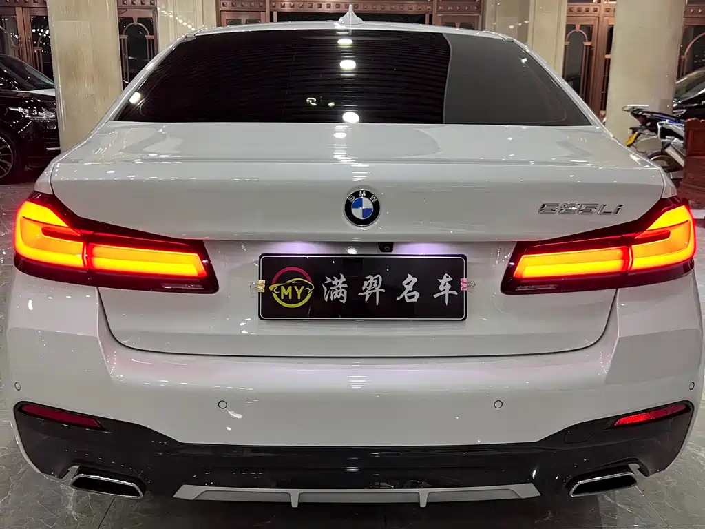 BMW 5 Series — миниатюра 5