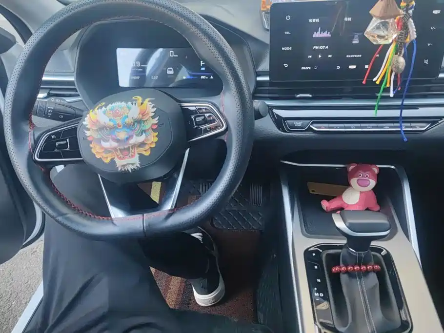 Geely Emgrand — миниатюра 12