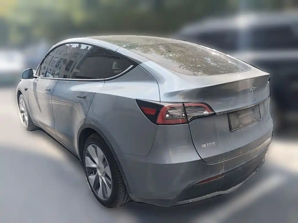 Tesla Model Y — миниатюра 7