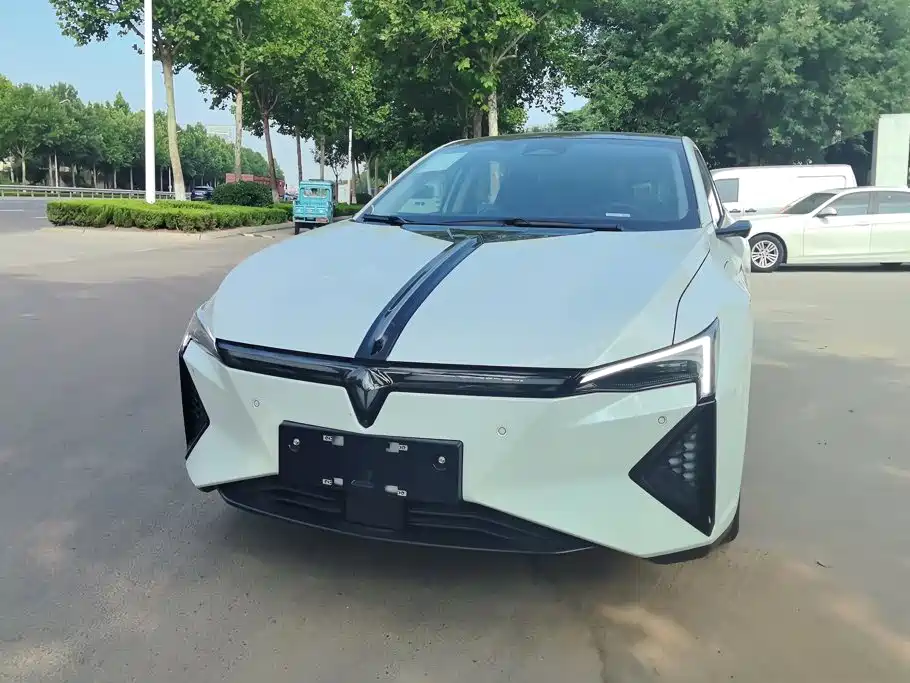 Lingxi Lingxi L — миниатюра 2