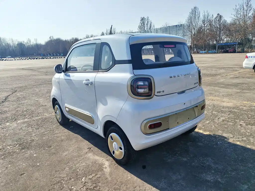 BESTUNE PENTIUM PONY