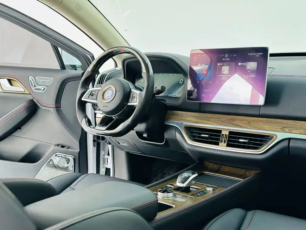 BYD Tang New Energy — миниатюра 16