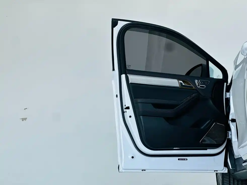 BYD Tang New Energy — миниатюра 12