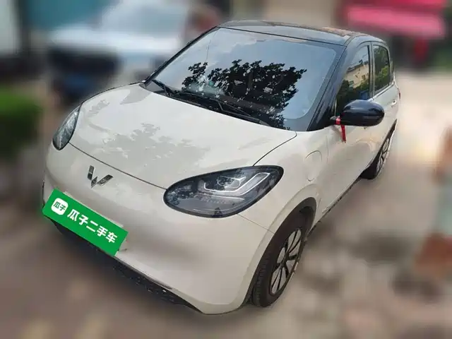 WULING AUTOMOBILE WULING BINGGUO 2024