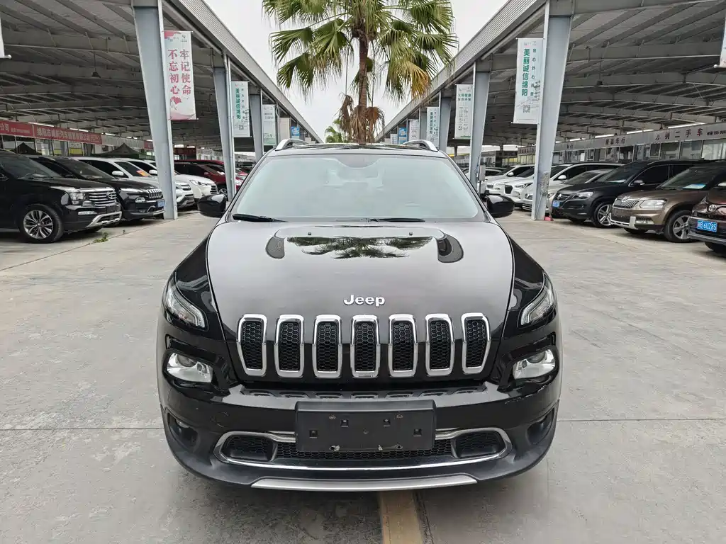 Jeep Cherokee 2.0L Superior Edition, фото 3
