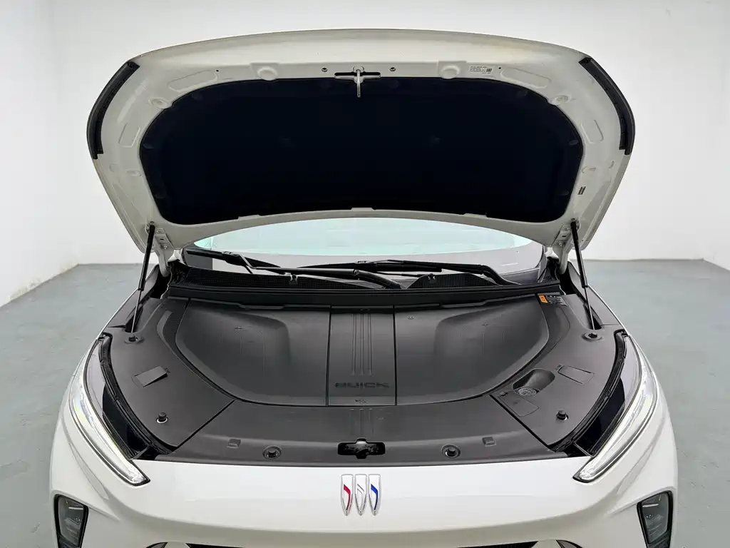 Buick E5 — миниатюра 10