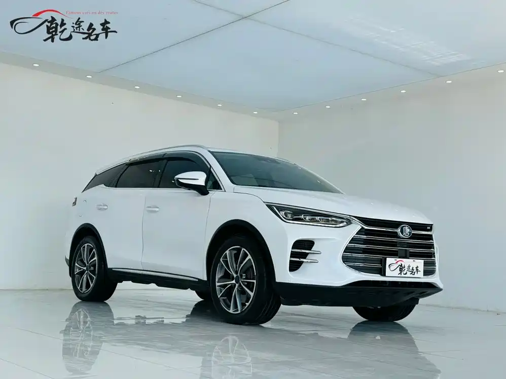 BYD Tang New Energy — миниатюра 3