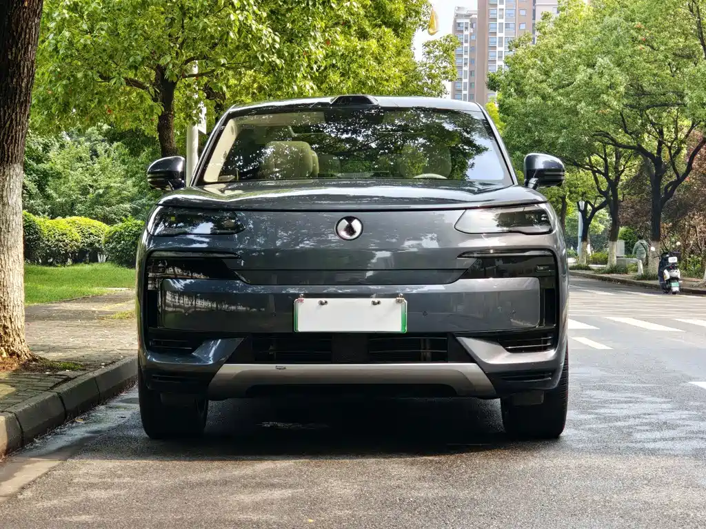 Denza Denza N9 — миниатюра 2