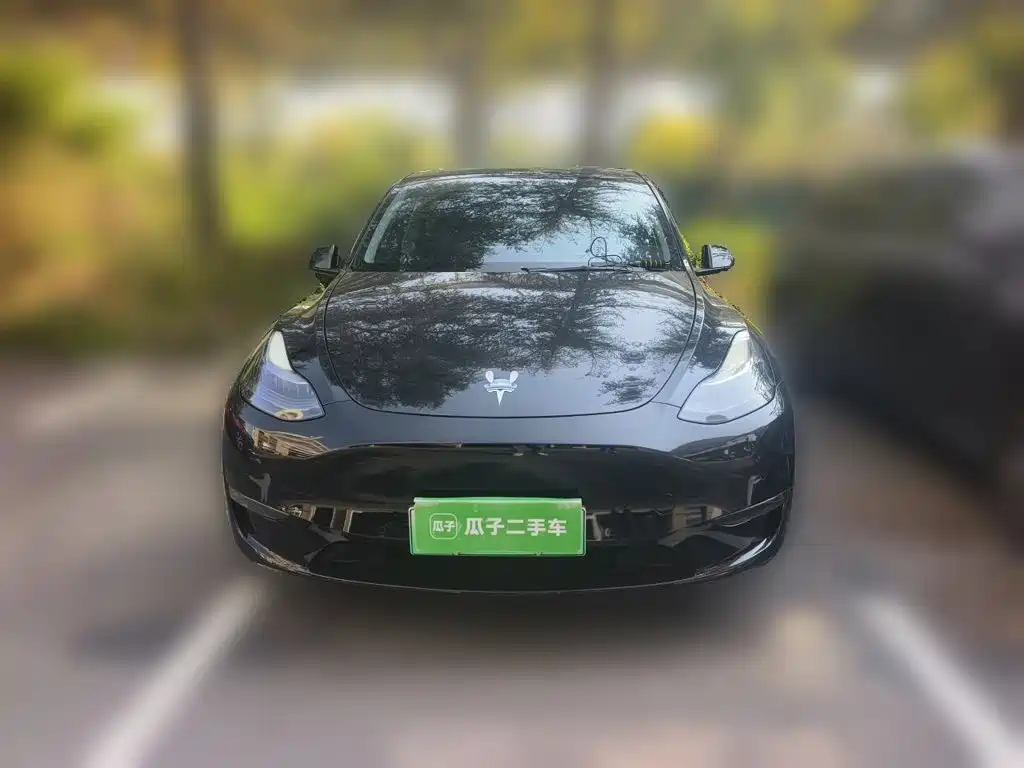 Tesla Model Y — миниатюра 2