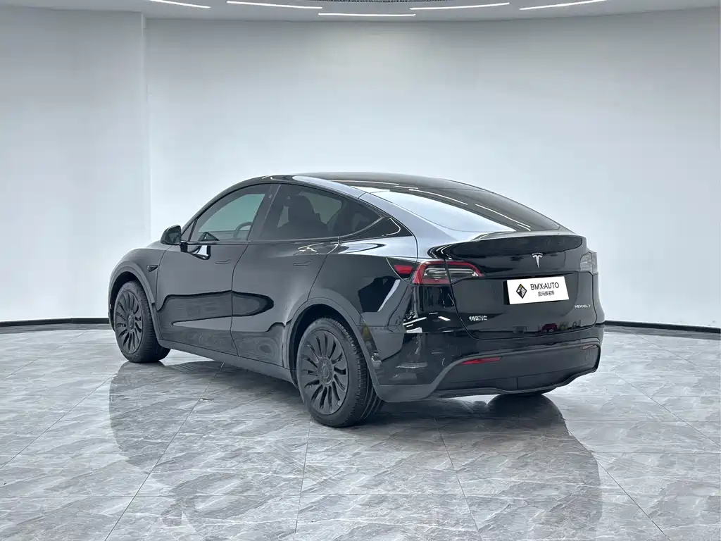 Tesla Model Y — миниатюра 3
