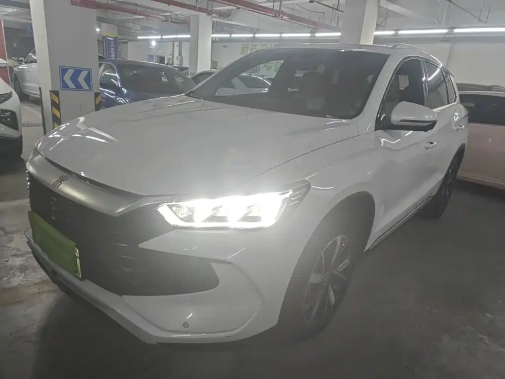 BYD Pro New Energy