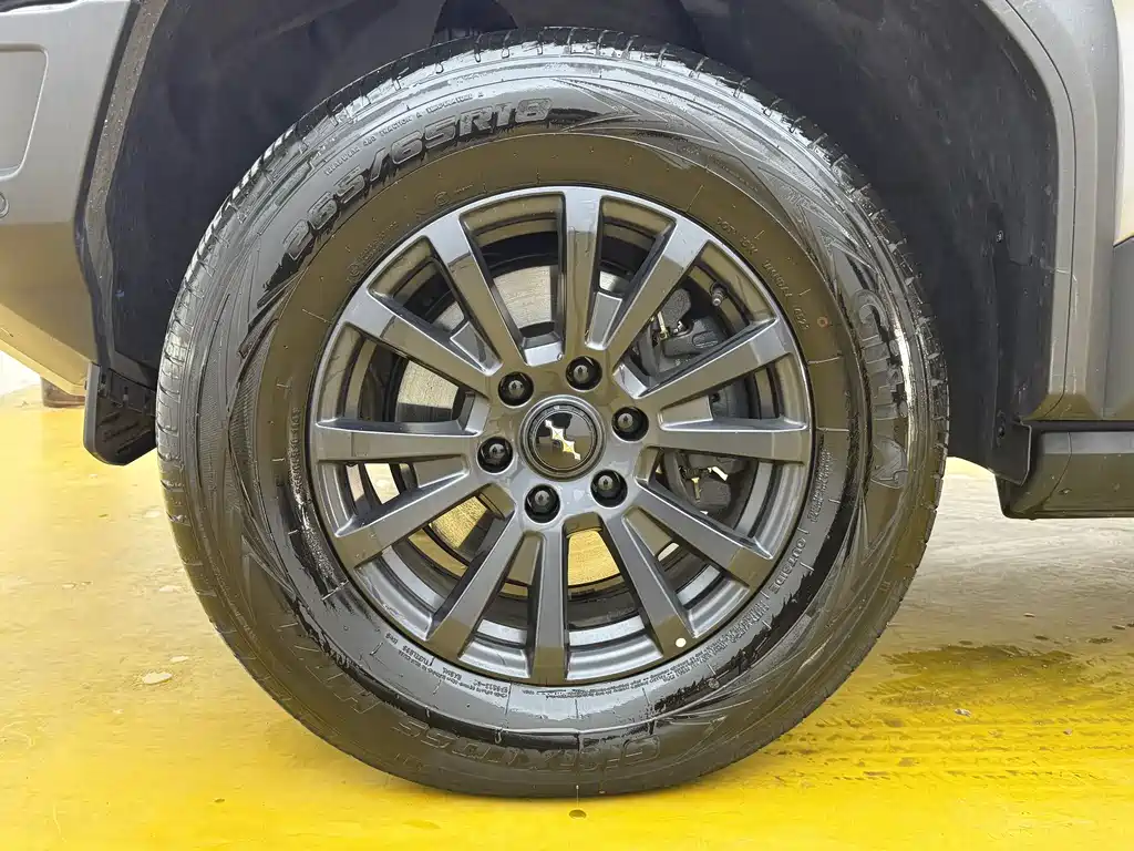 FANG CHENG BAO LEOPARD 5