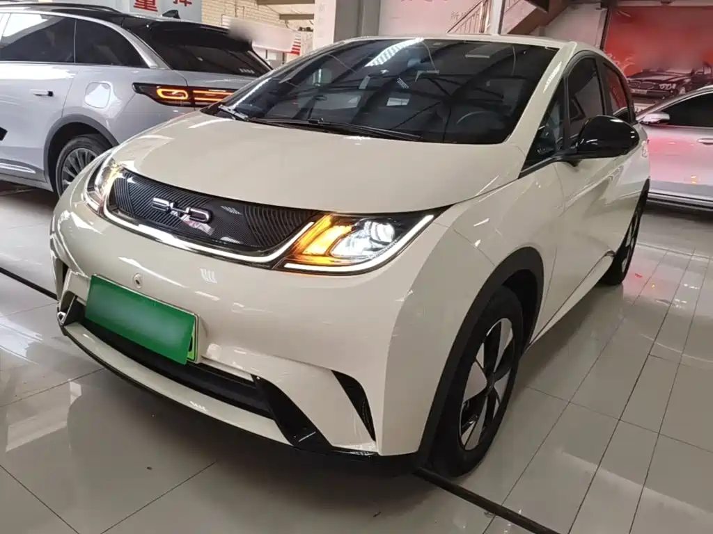 BYD Dolphin — миниатюра 2