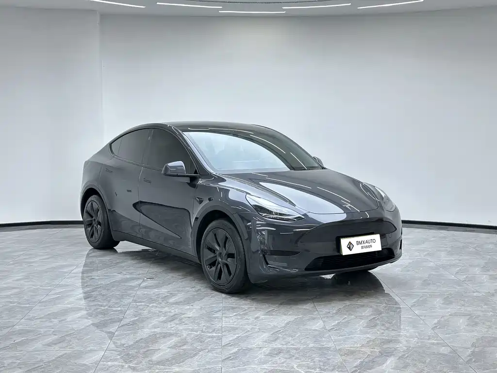 Tesla Model Y — миниатюра 3