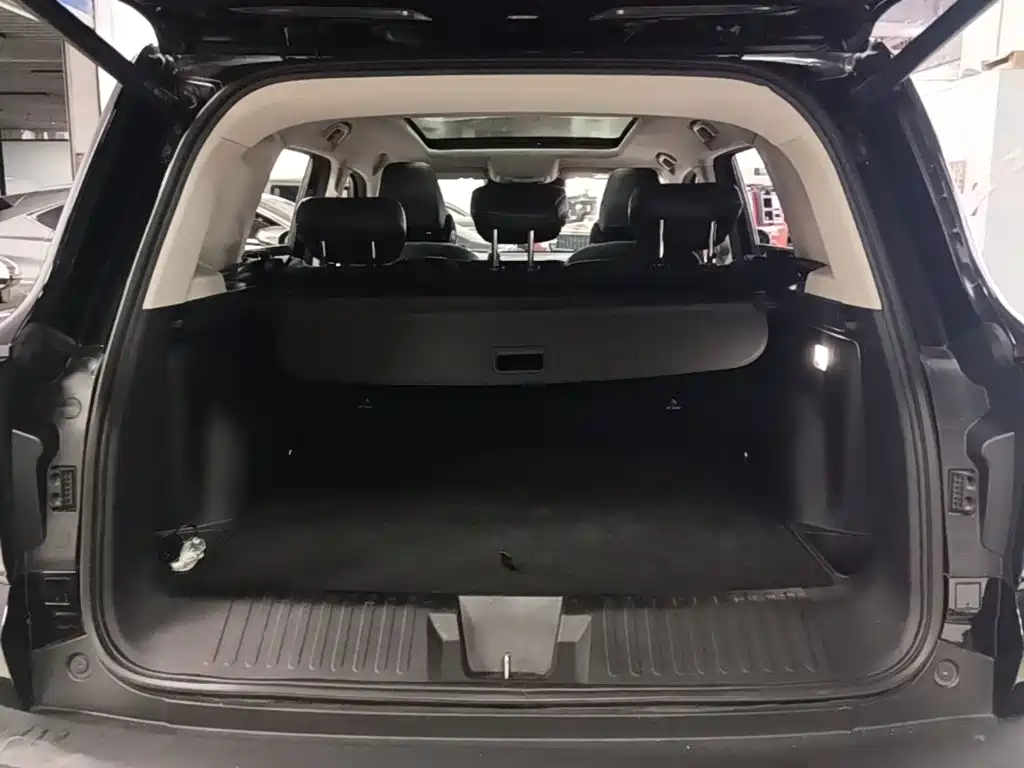 Haval Big Dog — миниатюра 19