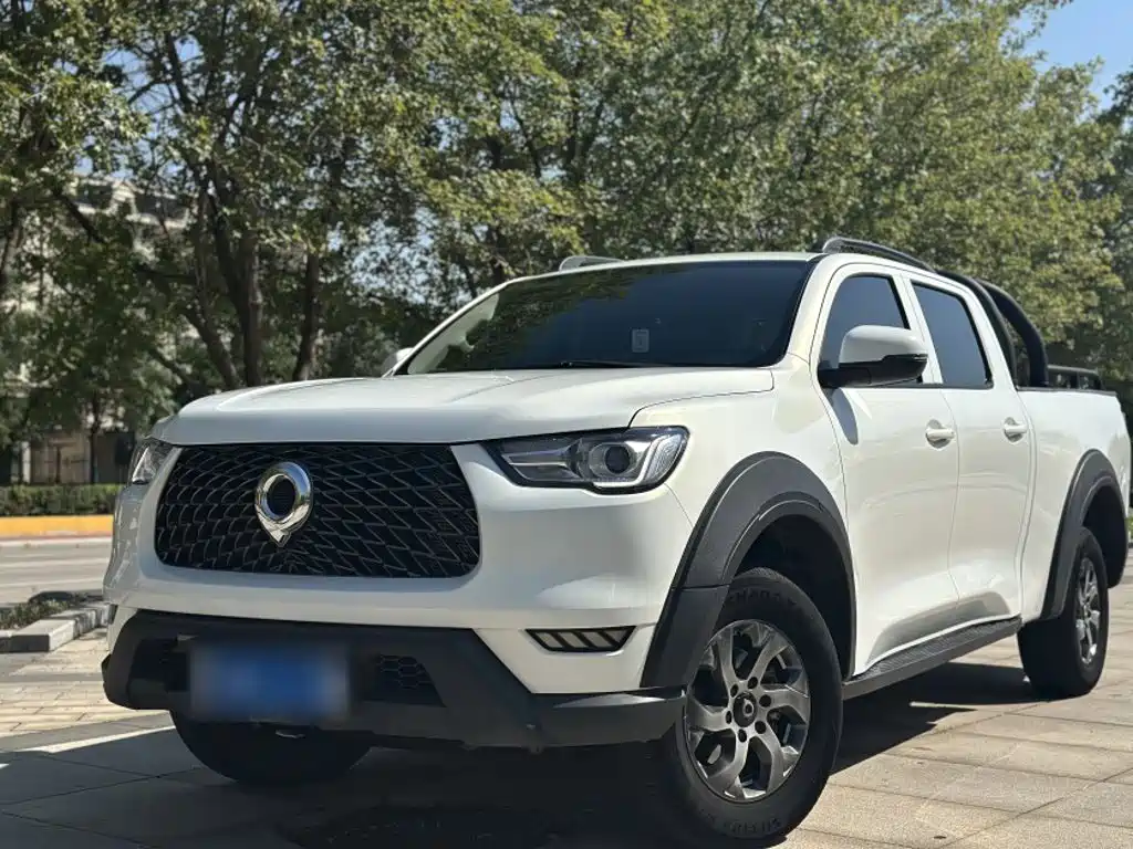 Great Wall Pao — миниатюра 2