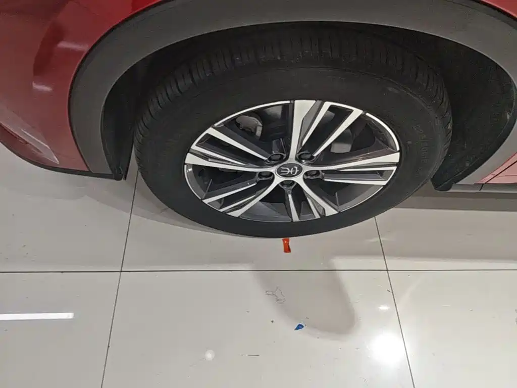 BYD Pro — миниатюра 23