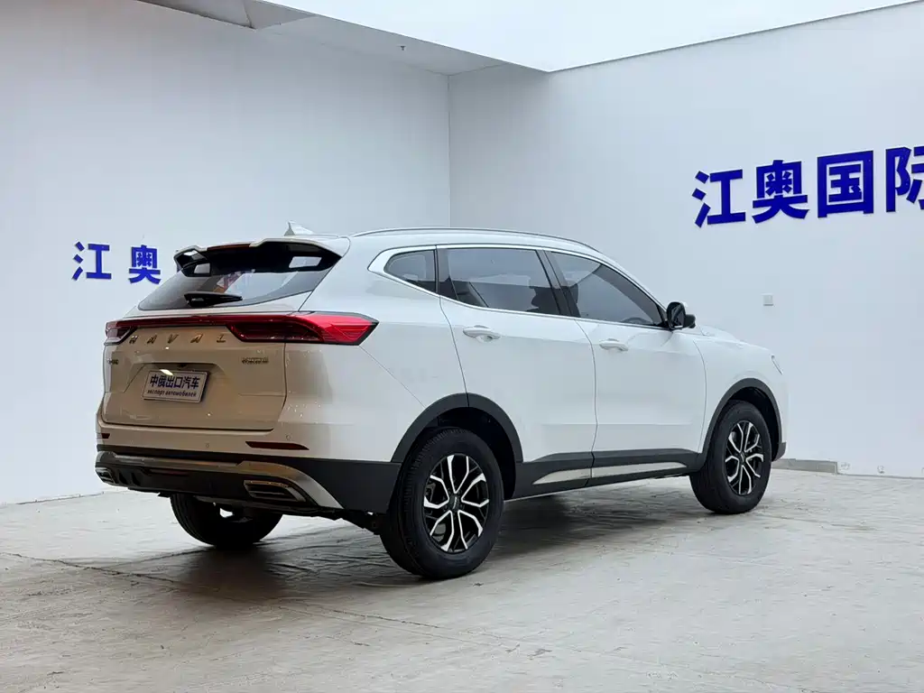 Haval H6 — миниатюра 19