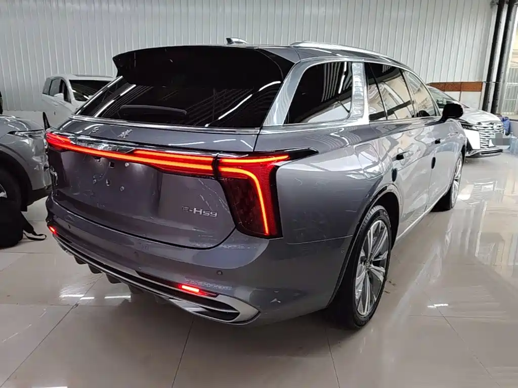 Hongqi Hongqi E-HS9 — миниатюра 7