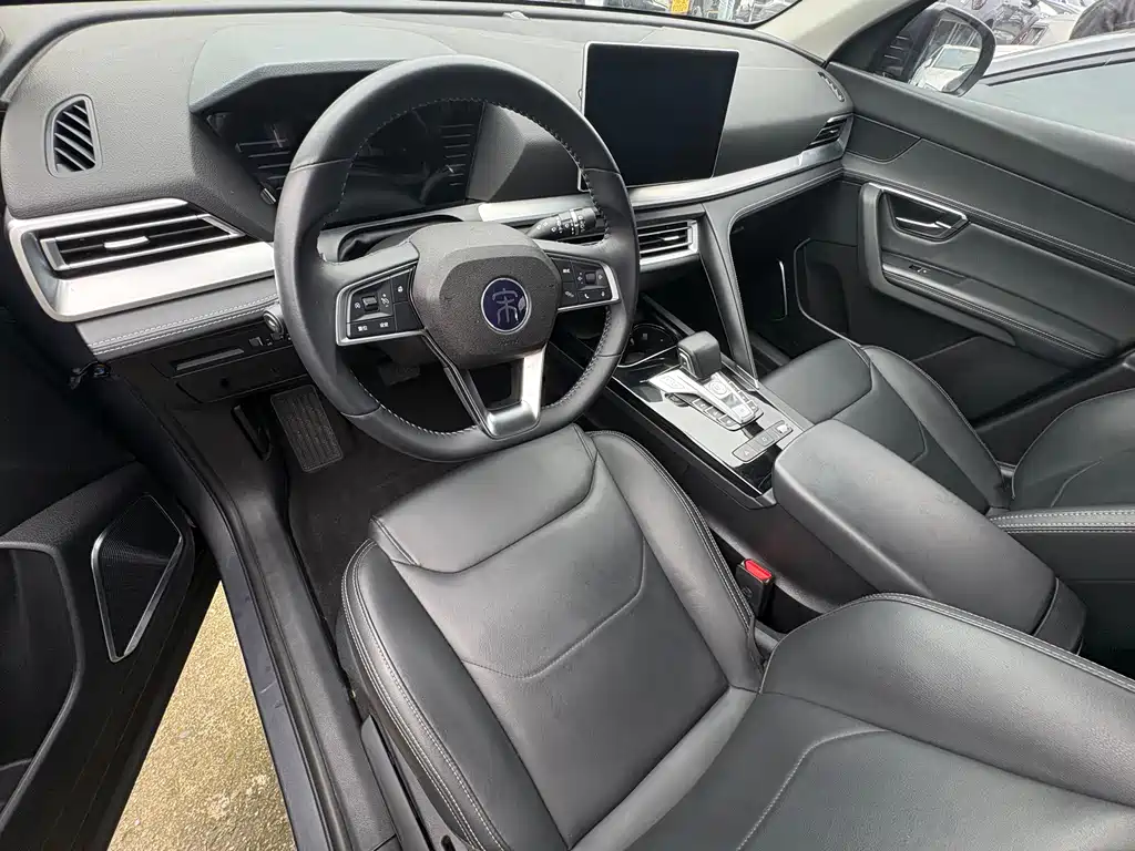 BYD Pro — миниатюра 6