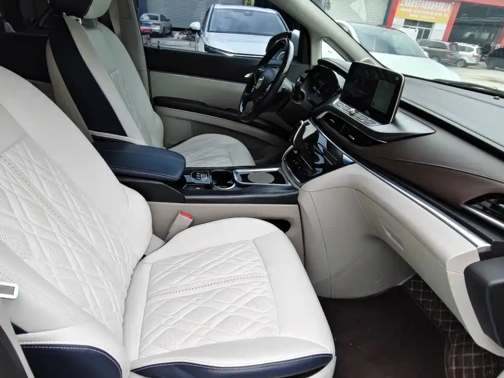 Buick GL8 — миниатюра 5