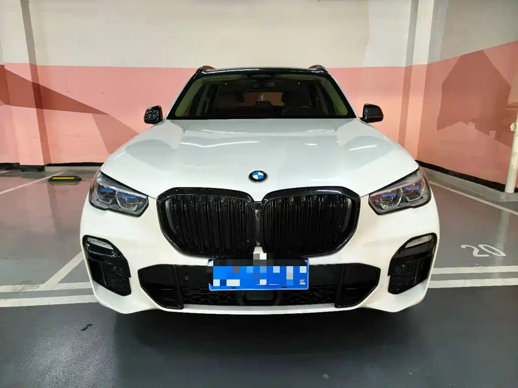BMW X5 (Import) — миниатюра 2